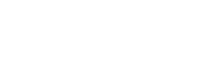 WayuPay Logo